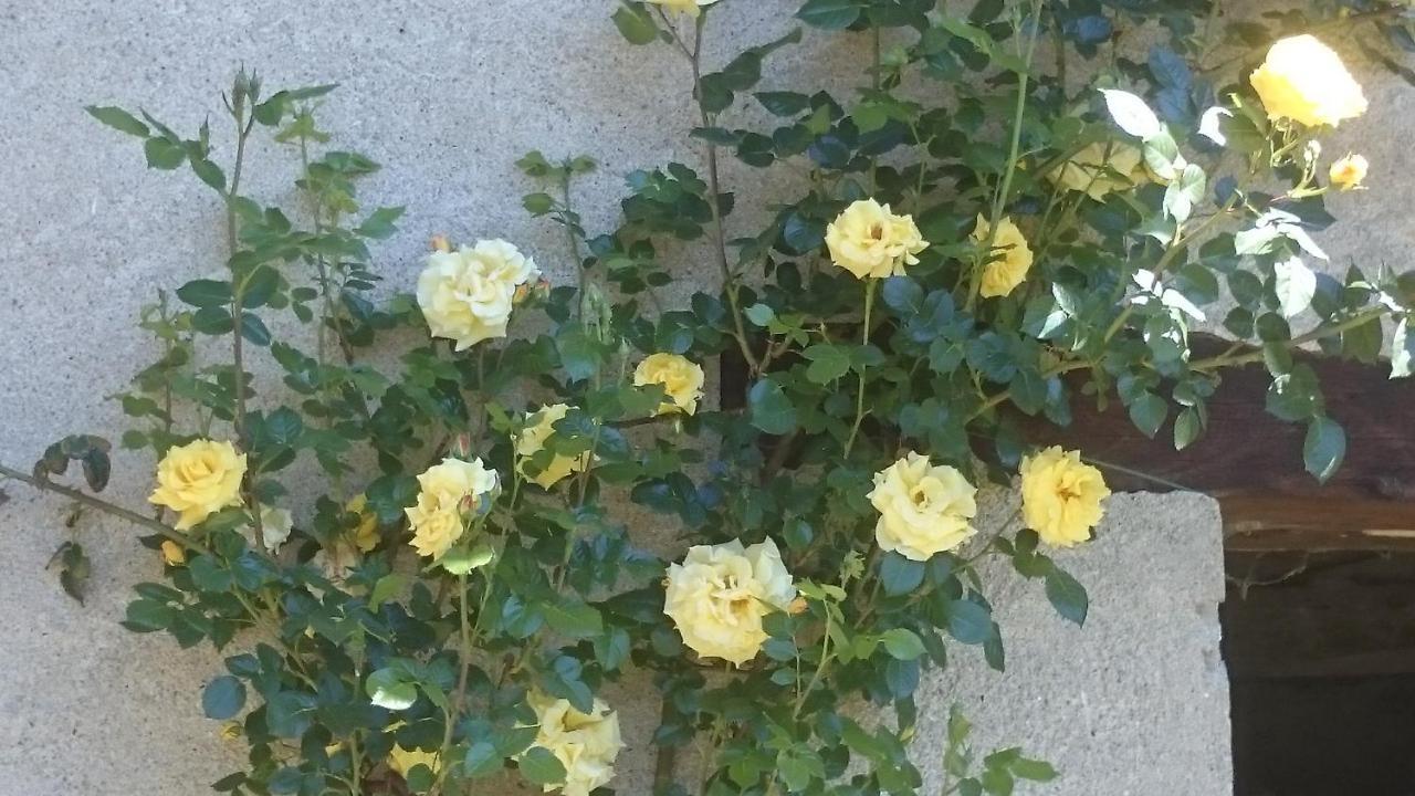 B&B Barbaia Levice 외부 사진