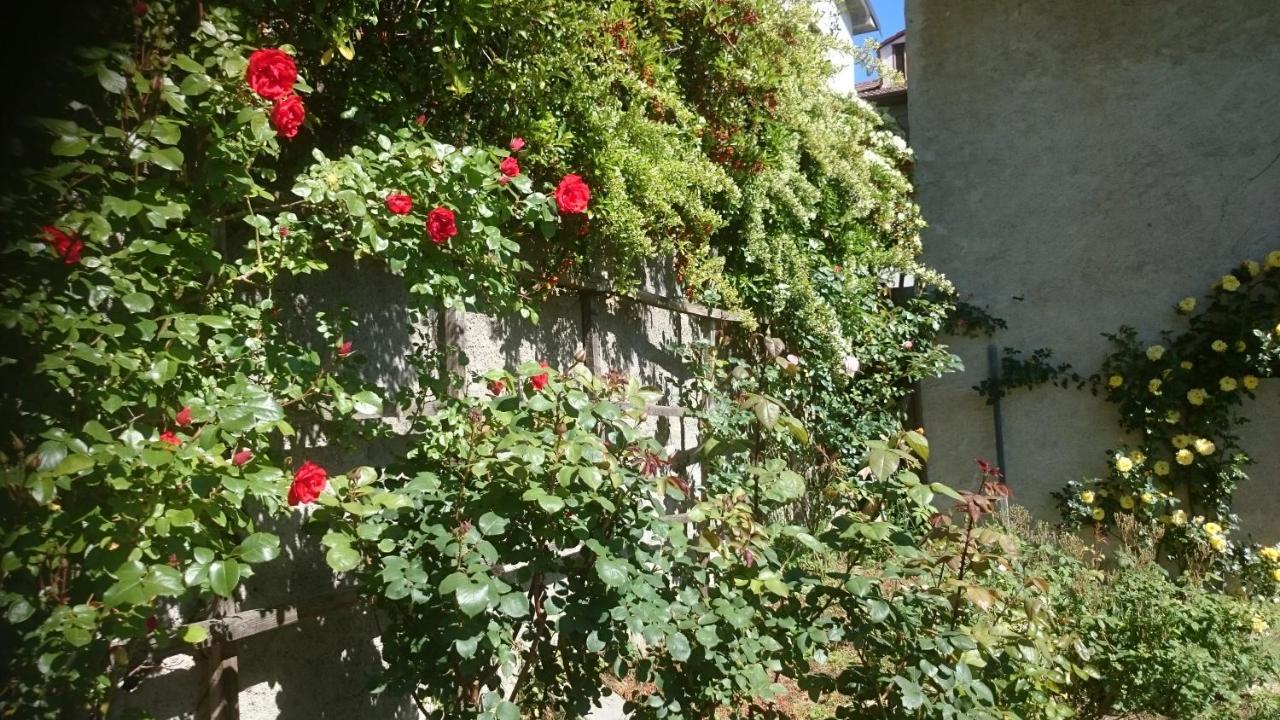 B&B Barbaia Levice 외부 사진